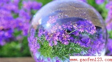 www.gaofen123.com