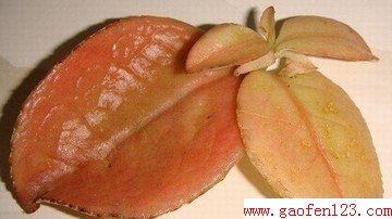 ʶЩҰ www.gaofen123.com