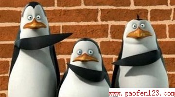 ̬Ӣ“װ”                             www.gaofen123.com