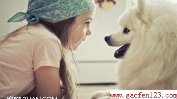 ʮС˲滺ѹ                      www.gaofen123.com