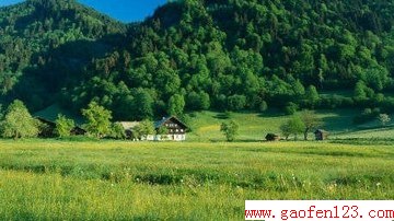  www.gaofen123.com