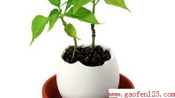 ô www.gaofen123.com