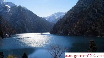 կȫ+www.gaofen123.comĶ