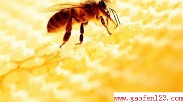 ʲôƤã www.gaofen123.com