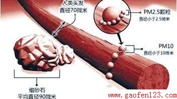  www.gaofen123.com