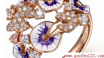ֻ www.gaofen123.com
