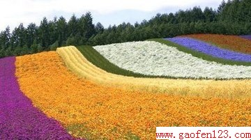 12星座性格、爱好、秘密大曝光,史上最全! www.gaofen123.com