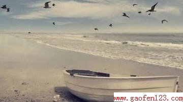 ֵѧѪ                        www.gaofen123.com