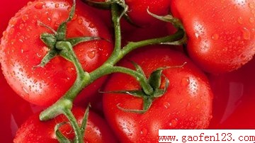 ٳ´Ÿ www.gaofen123.com