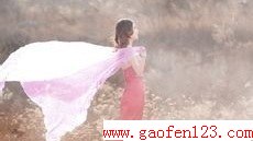  www.gaofen123.com