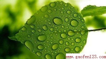  www.gaofen123.com
