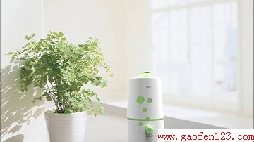 元旦新年送丈母娘老丈人什么礼物好之加湿器