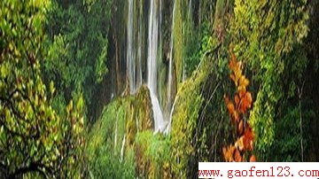  www.gaofen123.com