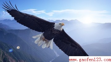  www.gaofen123.com