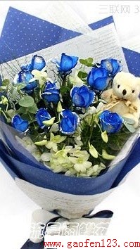  www.gaofen123.com