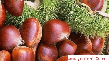 ӵĹЧЩ www.gaofen123.com