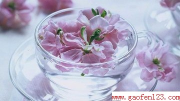 桃花茶的功效与作用 www.gaofen123.com