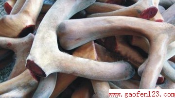 ¹׵ĹЧ www.gaofen123.com