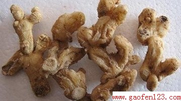 黄精的功效与作用 www.gaofen123.com