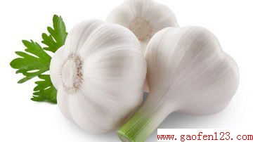 ʮЧ www.gaofen123.com