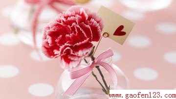 2014˽ʲô www.gaofen123.com