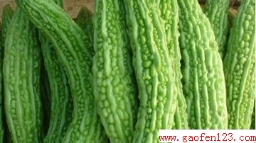 节后瘦身妙方 www.gaofen123.com