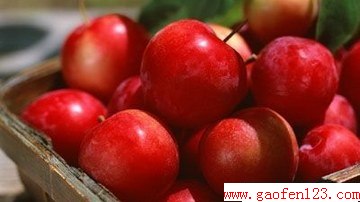 www.gaofen123.com