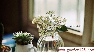  www.gaofen123.com