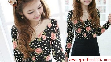 2ʽ黨ı෨ͼ DIYб෢ www.gaofen123.com