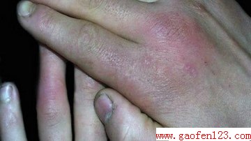 www.gaofen123.com
