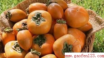 www.gaofen123.com