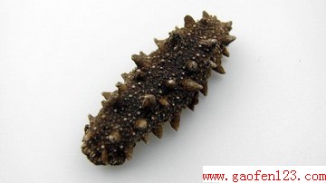 εļ𷽷 www.gaofen123.com