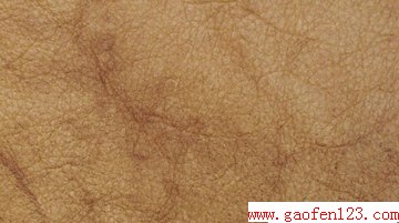 ƤЩ www.gaofen123.com