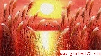  www.gaofen123.com