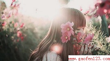 2014һ                www.gaofen123.com