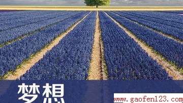 ã2014——ͼ                     www.gaofen123.com