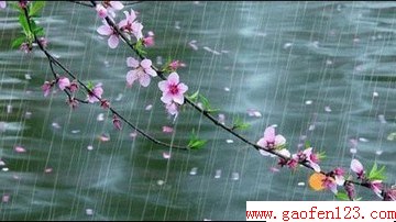 Ϊιͣ www.gaofen123.com