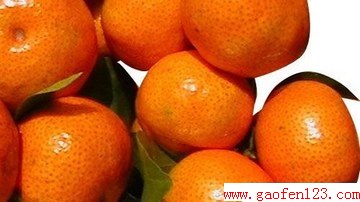  www.gaofen123.com