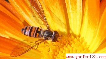 10ֳԴĽ www.gaofen123.com