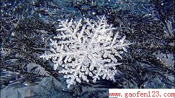ΪʲôѩΪΣ www.gaofen123.com