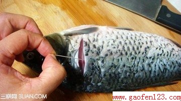 ȥߣ www.gaofen123.com