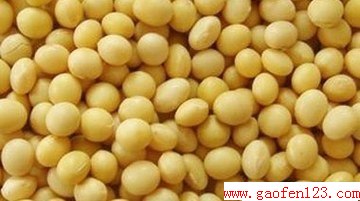 ʲôԸıز´ www.gaofen123.com