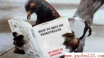www.gaofen123.com