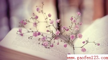 2014qq¸ǩ www.gaofen123.com