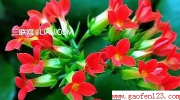 ٻϴȫ www.gaofen123.com