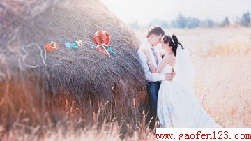  www.gaofen123.com