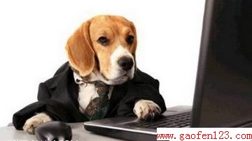 ITѹ                     www.gaofen123.com