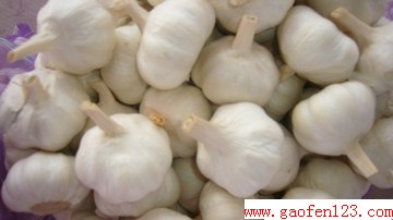 Դڳȥ www.gaofen123.com