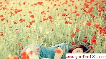 ĸ www.gaofen123.com