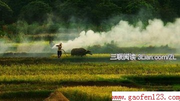 立秋诗词 www.gaofen123.com